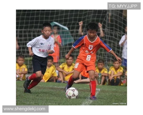 足球妹妹的梦想与成长在绿茵场上的青春故事