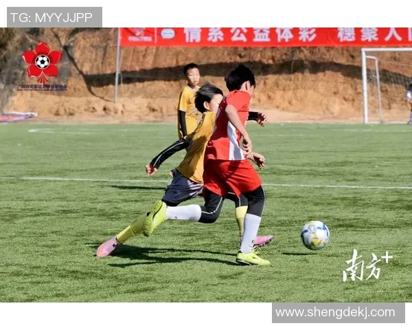 花都足球协携手共进助力青少年足球发展打造足球梦想新天地