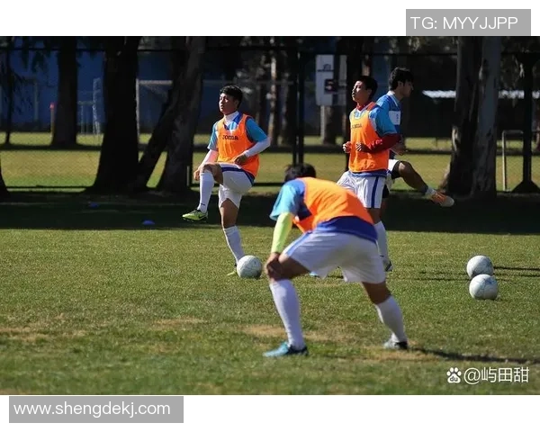 球员足球吗探讨职业足球运动员的训练与比赛生活