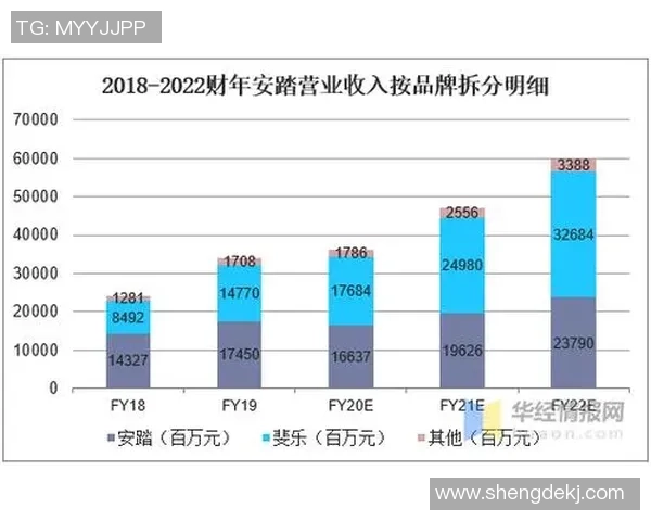 疫情影响下的足球俱乐部生存挑战与应对策略分析