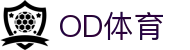 OD体育 - 欧洲杯合作平台